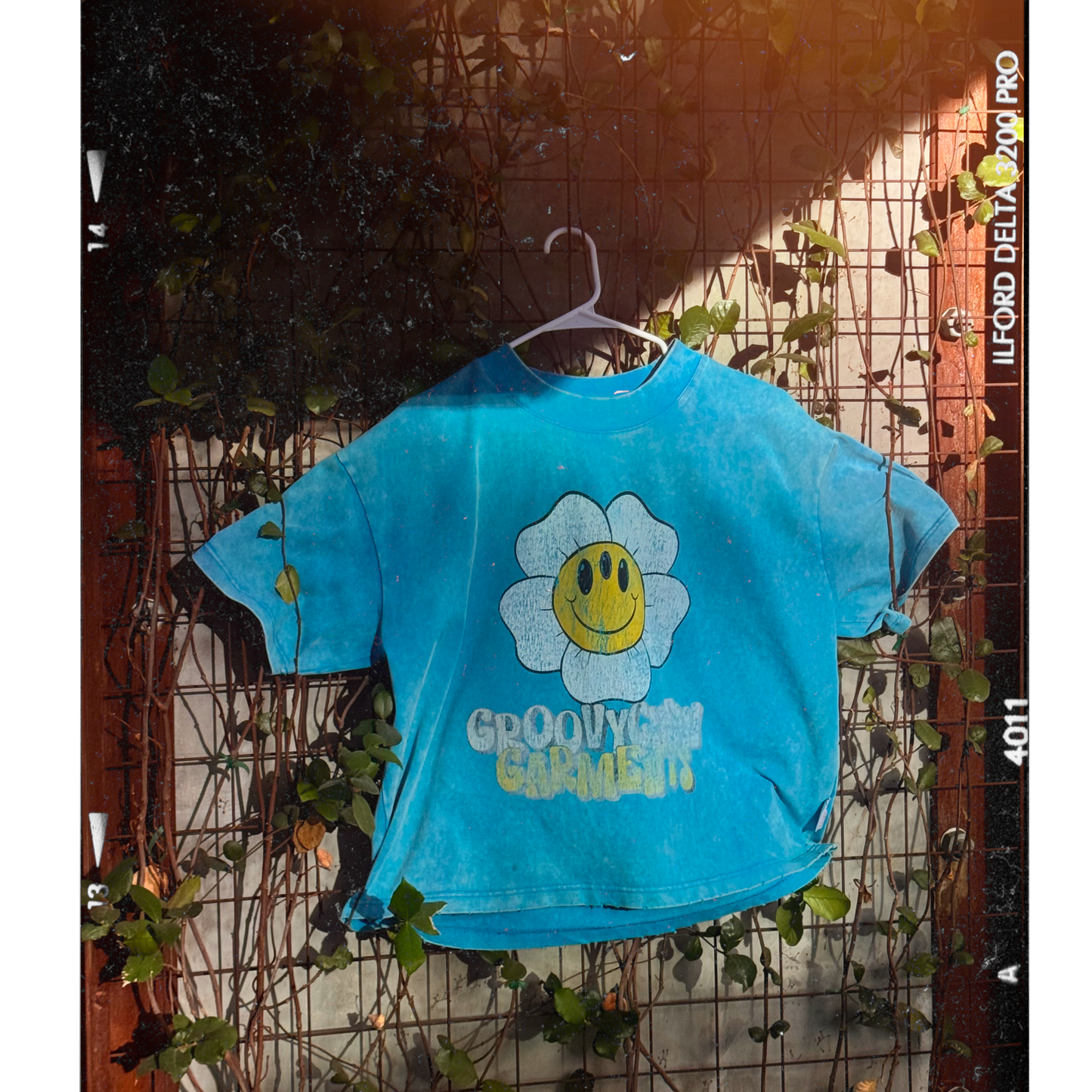 Groovy vintage crop tee