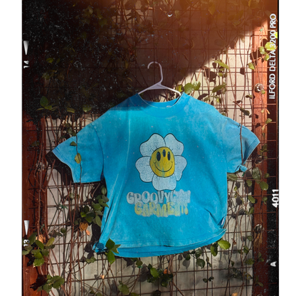 Groovy vintage crop tee